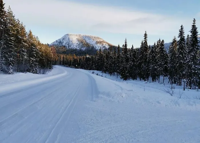 Villa Saga Tarula Kuusamo